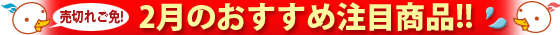 今月のおすすめ注目商品!!